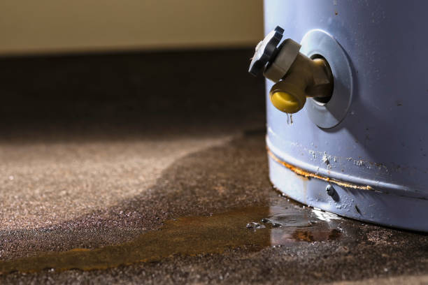 Best Water damage cleanup near me  in Fairbury, IL