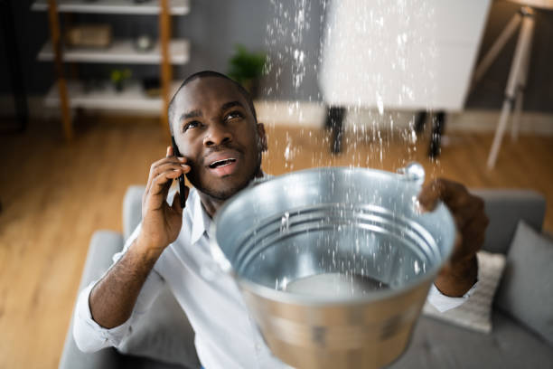 Best Flood restoration services  in Fairbury, IL