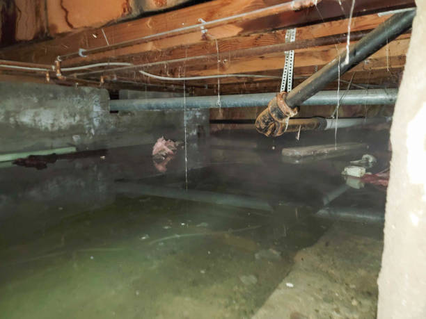 Best Professional water damage repair  in Fairbury, IL