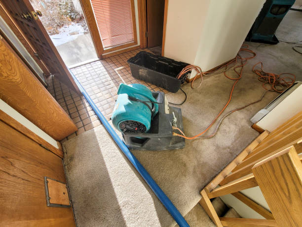 Best Water damage restoration near me  in Fairbury, IL