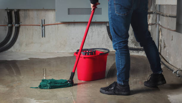 Best Water damage restoration near me  in Fairbury, IL