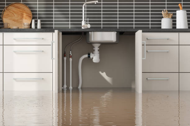 Professional Water damage restoration in IL