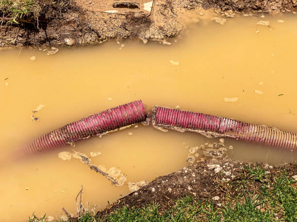Best Water damage restoration near me  in Fairbury, IL
